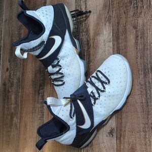 Nike Lebron XIV 14 BHM Size 11.5 Black History Month